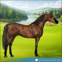 Horse Color:Void Bay Ice 