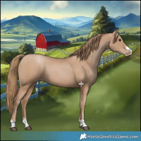 Horse Color:Black Pearl 