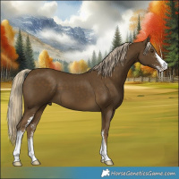 Horse Color:Chocolate Palomino Mushroom Sabino 
