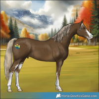 Horse Color:Chocolate Palomino Mushroom Sabino