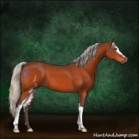Horse Color:White Spotted Silver Brown 