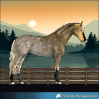Horse Color:Void Palomino Roan Rabicano 
