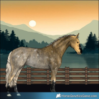 Horse Color:Void Palomino Roan Rabicano 