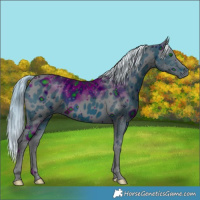 Horse Color:ERROR: UNKNOWN ANOMALY