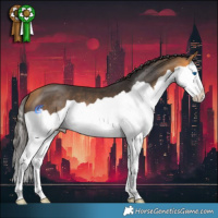 Horse Color:Buckskin Splash 
