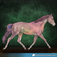 Horse Color:Watercolor White Spotted Chestnut Rabicano 