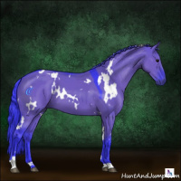 Horse Color:Watercolor White Spotted Grullo 