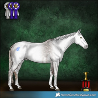 Horse Color:Gray White Spotted Chocolate Palomino 