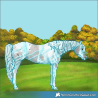 Horse Color:Thunderstruck Silver Brown Tobiano Blanket 