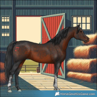 Horse Color:Brown Tobiano Rabicano 