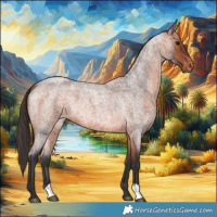 Horse Color:Bay Roan Blanket