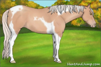 Horse Color:Silver Sable Champagne Tobiano 