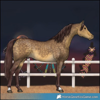 Horse Color:Chocolate Buckskin Dun Rabicano 