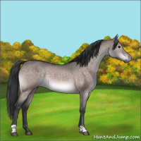 Horse Color:Platinum Bay Dun Brindle 