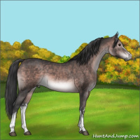 Horse Color:Platinum White Spotted Brown 