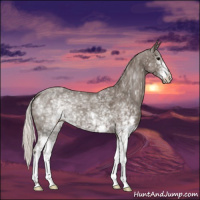 Horse Color:White Spotted Silver Black 