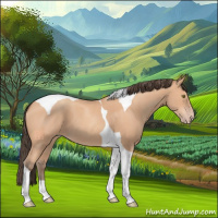 Horse Color:Amber Champagne Tobiano
