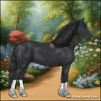 Horse Color:Black 