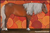 Horse Color:Silver Brown 