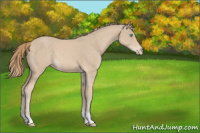 Horse Color:Smoky Creme Tobiano 