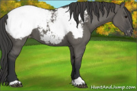 Horse Color:Grullo Near Fewspot 