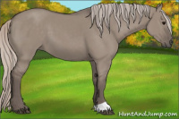 Horse Color:Silver Grullo 