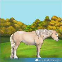 Horse Color:Palomino Pearl 