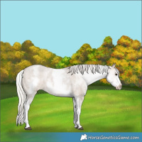 Horse Color:White Spotted Silver Brown Dun Varnish 