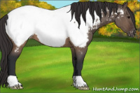 Horse Color:Brown Dun Near Fewspot 