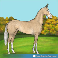 Horse Color:White Spotted Silver Classic Cream Champagne Dun Splash 