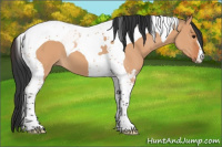Horse Color:Bay Dun Tobiano