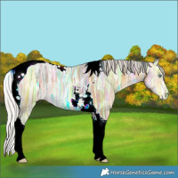 Horse Color:Silver Amber Cream Champagne Ice Tobiano 