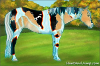 Horse Color:Thunderstruck Silver Buckskin Tobiano 