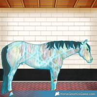 Horse Color:Thunderstruck Brown Ice Dun Tobiano 