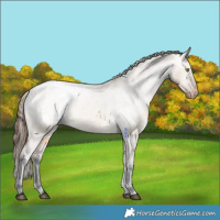Horse Color:Bay Dun Snowcap 