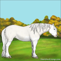 Horse Color:Silver Smoky Creme Roan Dun Splash