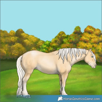 Horse Color:Silver Buckskin Pearl 