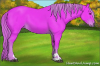 Horse Color:Watercolor Liver Chestnut Sabino 