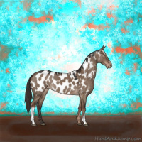 Horse Color:Liver Red Dun Appaloosa 