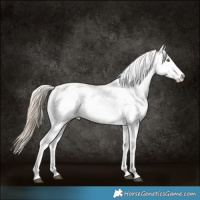 Horse Color:Chocolate Palomino Dun Sabino Varnish Brindle