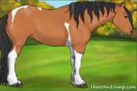 Horse Color:Bay Tobiano 