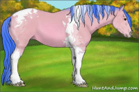 Horse Color:Watercolor Bay Tobiano 