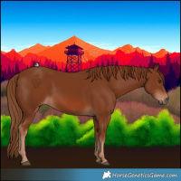 Horse Color:Chestnut 