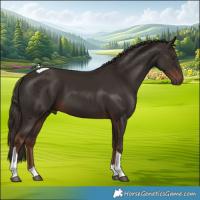Horse Color:Liver Chestnut Tobiano Rabicano