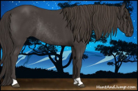 Horse Color:Smoky Black Rabicano 