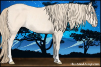 Horse Color:Perlino Rabicano