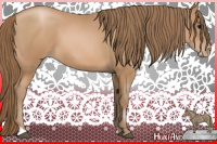 Horse Color:Black Pearl 