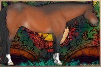 Horse Color:Brown Roan