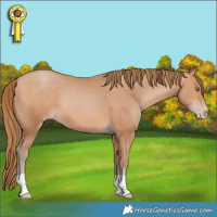 Horse Color:Brown Pearl