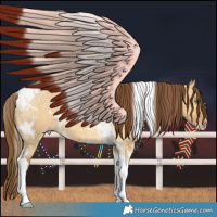 Horse Color:Gray White Spotted Amber Cream Champagne Dun Tobiano Varnish Rabicano 